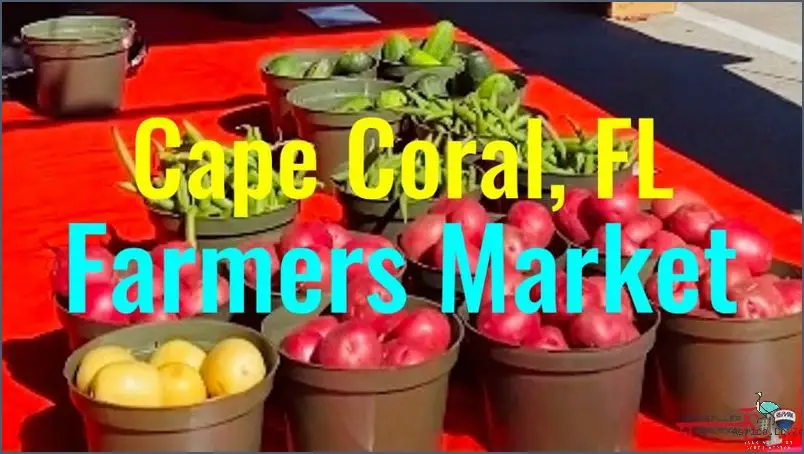 5 Reasons to Visit Farmers Markets in Cape Town