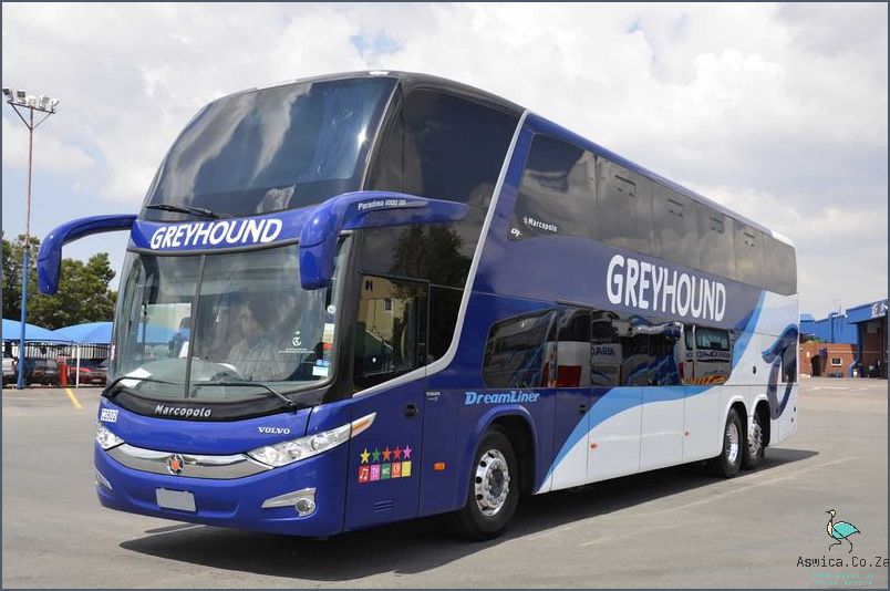 Book A Bus Ticket Online in South Africa Now - Here's How!