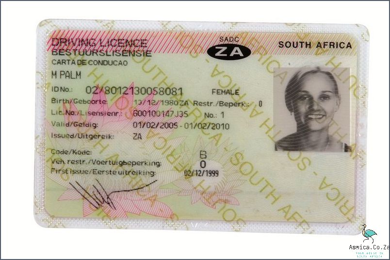 Can A Foreigner Get A South African Drivers License? Find Out Now!