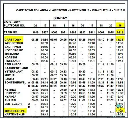 Discover How To Navigate Cape Town Bus Routes And Times Easily!