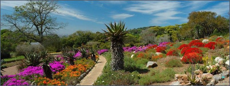 Discover the Hidden Gem Gardens of Cape Town!
