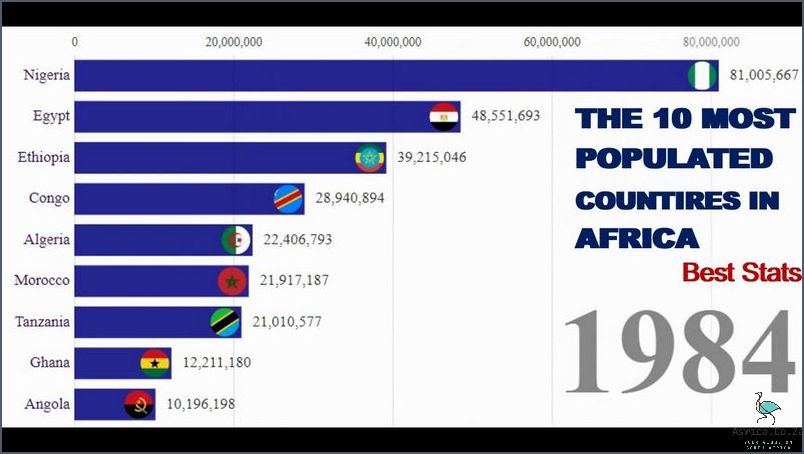 Discover the Most Populated Country In Africa!