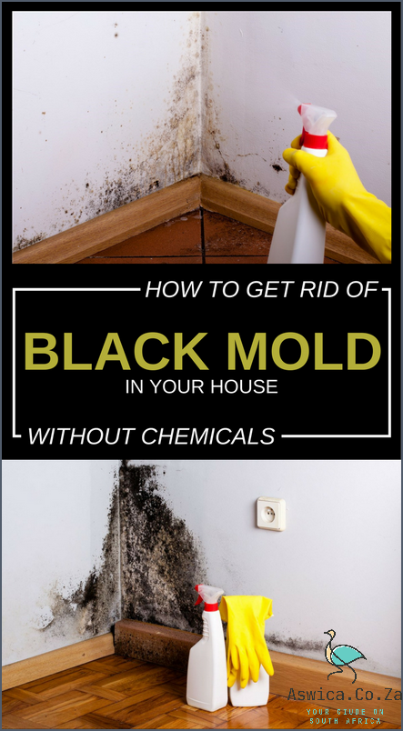 1. How to Remove Mold From Walls: A Step-by-Step Guide