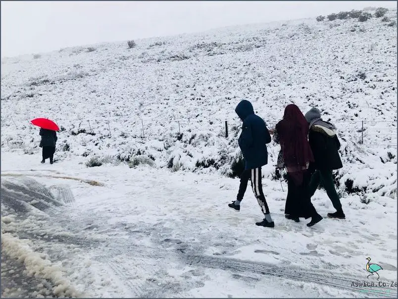 Cape Town Shocked as Snow Falls in the Weather!