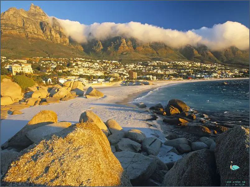 Discover Secondary Attractions In Cape Town!