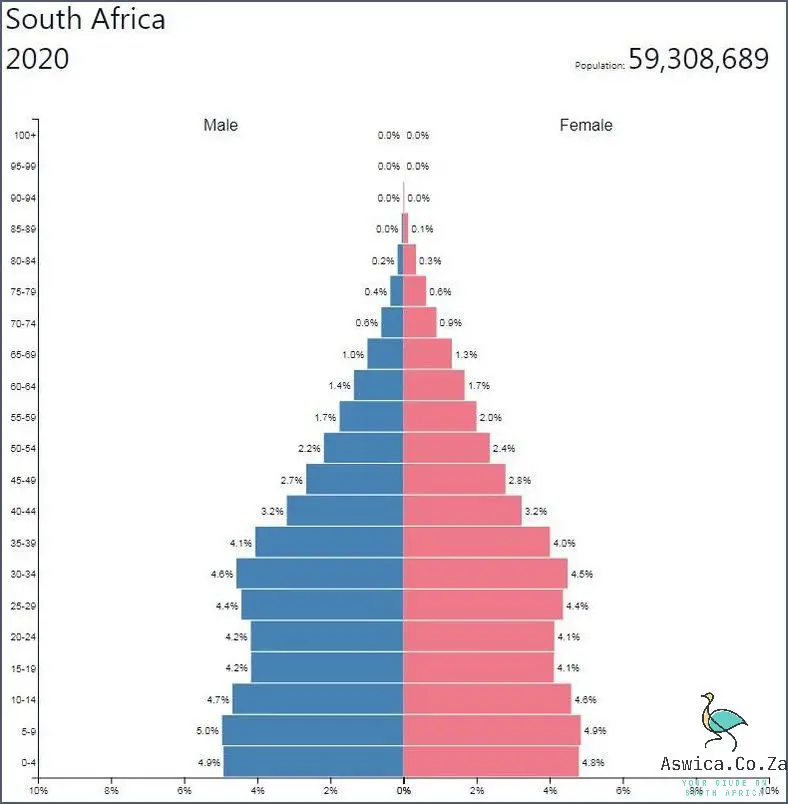 Staggering Facts Revealed in South Africa's Population Pyramid