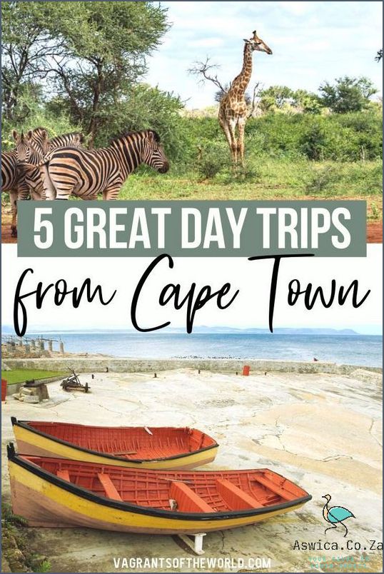The Essential South Africa Travel Guide: Unmissable Stops & Experiences
